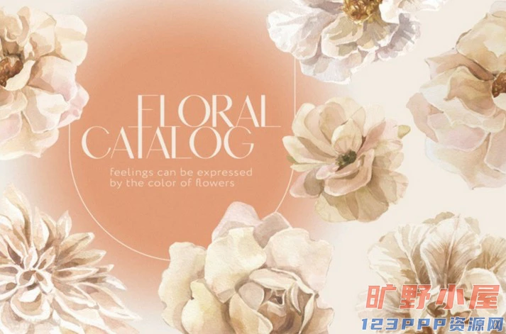 优雅艺术水彩手绘花卉字母边框拼贴剪贴画插画PNG免扣设计素材(003) 优雅艺术水彩手绘花卉字母边框拼贴剪贴画插画PNG免扣设计素材(003)