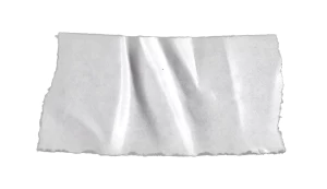 黑白潮流复古酸性动物植物人物摆件石膏贴纸PNG免抠图片设计素材【227】