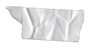 黑白潮流复古酸性动物植物人物摆件石膏贴纸PNG免抠图片设计素材【230】