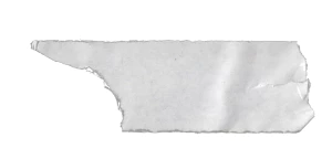 黑白潮流复古酸性动物植物人物摆件石膏贴纸PNG免抠图片设计素材【231】