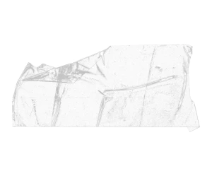 黑白潮流复古酸性动物植物人物摆件石膏贴纸PNG免抠图片设计素材【234】