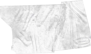 黑白潮流复古酸性动物植物人物摆件石膏贴纸PNG免抠图片设计素材【235】
