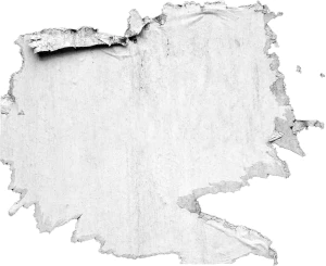 黑白潮流复古酸性动物植物人物摆件石膏贴纸PNG免抠图片设计素材【236】