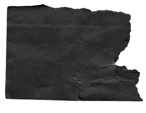 黑白潮流复古酸性动物植物人物摆件石膏贴纸PNG免抠图片设计素材【241】