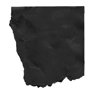 黑白潮流复古酸性动物植物人物摆件石膏贴纸PNG免抠图片设计素材【242】