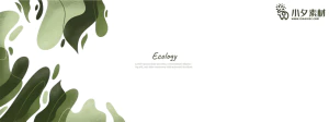植物绿叶背景边框海报元素模板插画AI矢量设计素材【004】