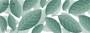 植物绿叶背景边框海报元素模板插画AI矢量设计素材【020】