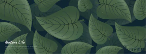 植物绿叶背景边框海报元素模板插画AI矢量设计素材【021】