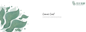 植物绿叶背景边框海报元素模板插画AI矢量设计素材【022】