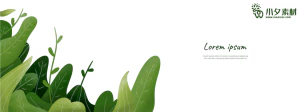植物绿叶背景边框海报元素模板插画AI矢量设计素材【031】