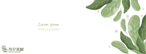 植物绿叶背景边框海报元素模板插画AI矢量设计素材【032】
