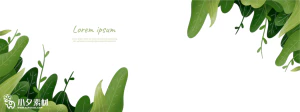植物绿叶背景边框海报元素模板插画AI矢量设计素材【033】