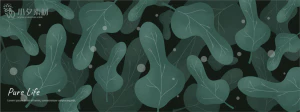 植物绿叶背景边框海报元素模板插画AI矢量设计素材【038】