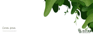 植物绿叶背景边框海报元素模板插画AI矢量设计素材【041】
