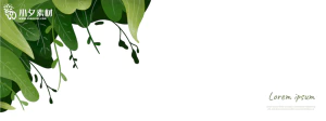 植物绿叶背景边框海报元素模板插画AI矢量设计素材【043】