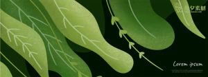 植物绿叶背景边框海报元素模板插画AI矢量设计素材【047】