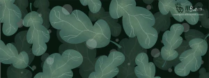 植物绿叶背景边框海报元素模板插画AI矢量设计素材【049】