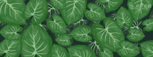 植物绿叶背景边框海报元素模板插画AI矢量设计素材【064】