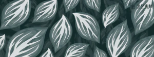 植物绿叶背景边框海报元素模板插画AI矢量设计素材【067】