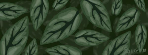 植物绿叶背景边框海报元素模板插画AI矢量设计素材【068】