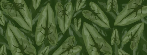 植物绿叶背景边框海报元素模板插画AI矢量设计素材【070】