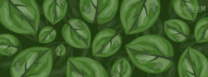 植物绿叶背景边框海报元素模板插画AI矢量设计素材【072】
