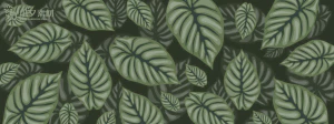 植物绿叶背景边框海报元素模板插画AI矢量设计素材【073】