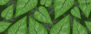 植物绿叶背景边框海报元素模板插画AI矢量设计素材【074】