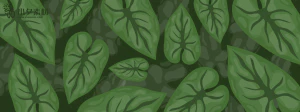 植物绿叶背景边框海报元素模板插画AI矢量设计素材【075】