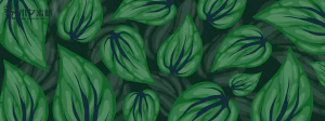 植物绿叶背景边框海报元素模板插画AI矢量设计素材【076】