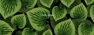 植物绿叶背景边框海报元素模板插画AI矢量设计素材【083】
