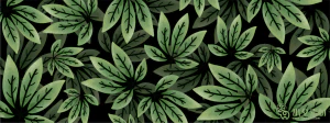 植物绿叶背景边框海报元素模板插画AI矢量设计素材【088】