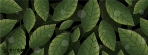 植物绿叶背景边框海报元素模板插画AI矢量设计素材【089】