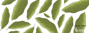 植物绿叶背景边框海报元素模板插画AI矢量设计素材【095】