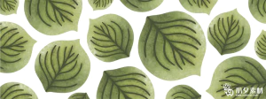 植物绿叶背景边框海报元素模板插画AI矢量设计素材【097】
