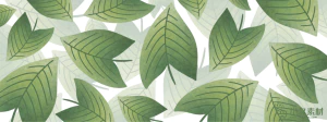 植物绿叶背景边框海报元素模板插画AI矢量设计素材【098】
