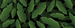 植物绿叶背景边框海报元素模板插画AI矢量设计素材【099】