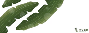 植物绿叶背景边框海报元素模板插画AI矢量设计素材【100】