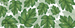 植物绿叶背景边框海报元素模板插画AI矢量设计素材【101】