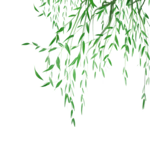 手绘中式清明节青团山水人物春天绿色元素插画PNG免扣PS设计素材【360】