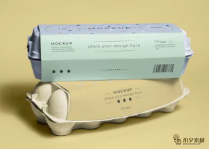 鸡蛋盒子包装智能贴图食品智能样机模板PSD分层设计素材【050】