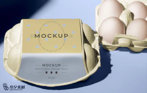 鸡蛋盒子包装智能贴图食品智能样机模板PSD分层设计素材【060】