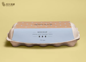 鸡蛋盒子包装智能贴图食品智能样机模板PSD分层设计素材【062】