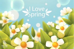 小清新春天春季花朵绿色植物叶子插画海报展板背景AI矢量设计素材【015】