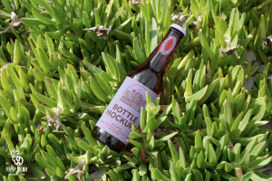 汽水饮料饮品啤酒透明玻璃瓶VI包装效果展示PSD贴图样机设计素材【007】