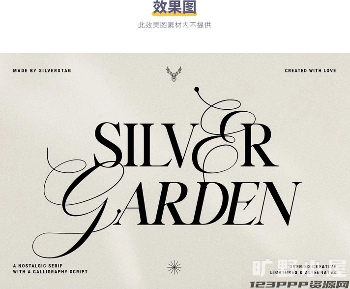 高级优雅欧式英伦花体衬线LOGO海报排版杂志标题英文字体安装包【001】