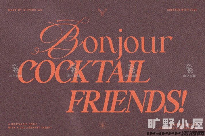 高级优雅欧式英伦花体衬线LOGO海报排版杂志标题英文字体安装包【012】