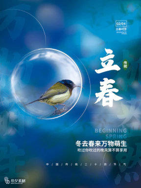 24节气立春春季新春春天海报模板PSD分层设计素材源文件模板【184】