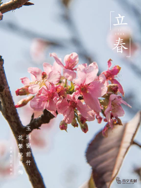 24节气立春春季新春春天海报模板PSD分层设计素材源文件模板【185】