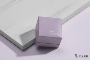 包装美妆纸盒盒子智能贴图文创毕设样机模板PSD分层设计素材【015】